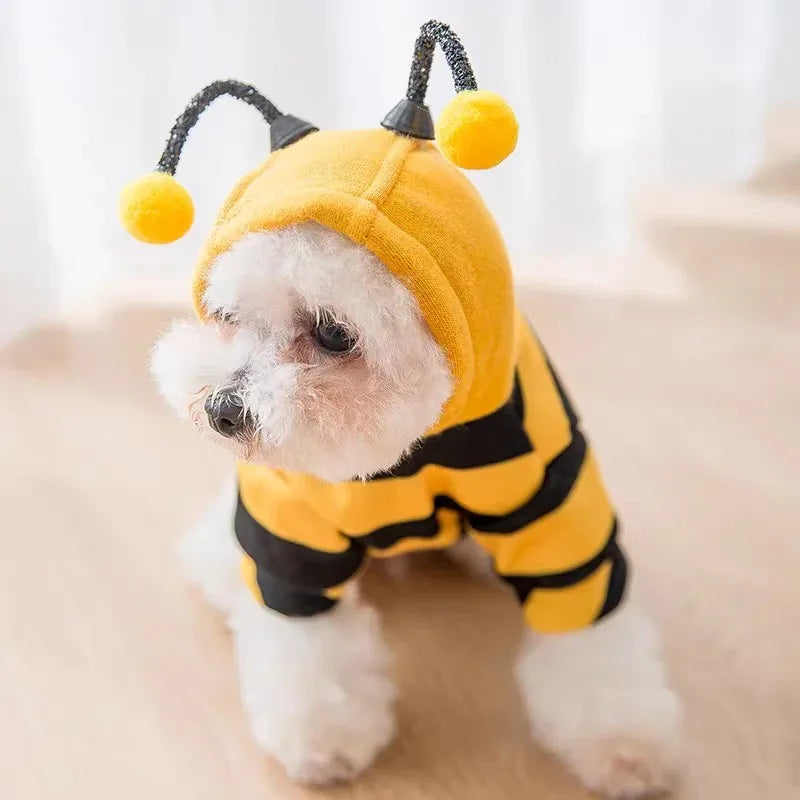 Bee Dog Clothes for Autumn and Winter Schnauzer Teddy Small Puppy Cat Pet Hoodie Bee Transformation Suit Dog Cat Cosplay Costume