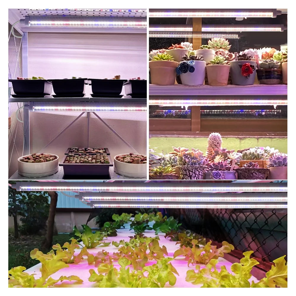 AC85- 265V SMD 2835 Chip T8 Full Spectrum LED Grow Tube Suitable for Plants Fruit Trees Succulents Veg and Bloom LED Grow Light
