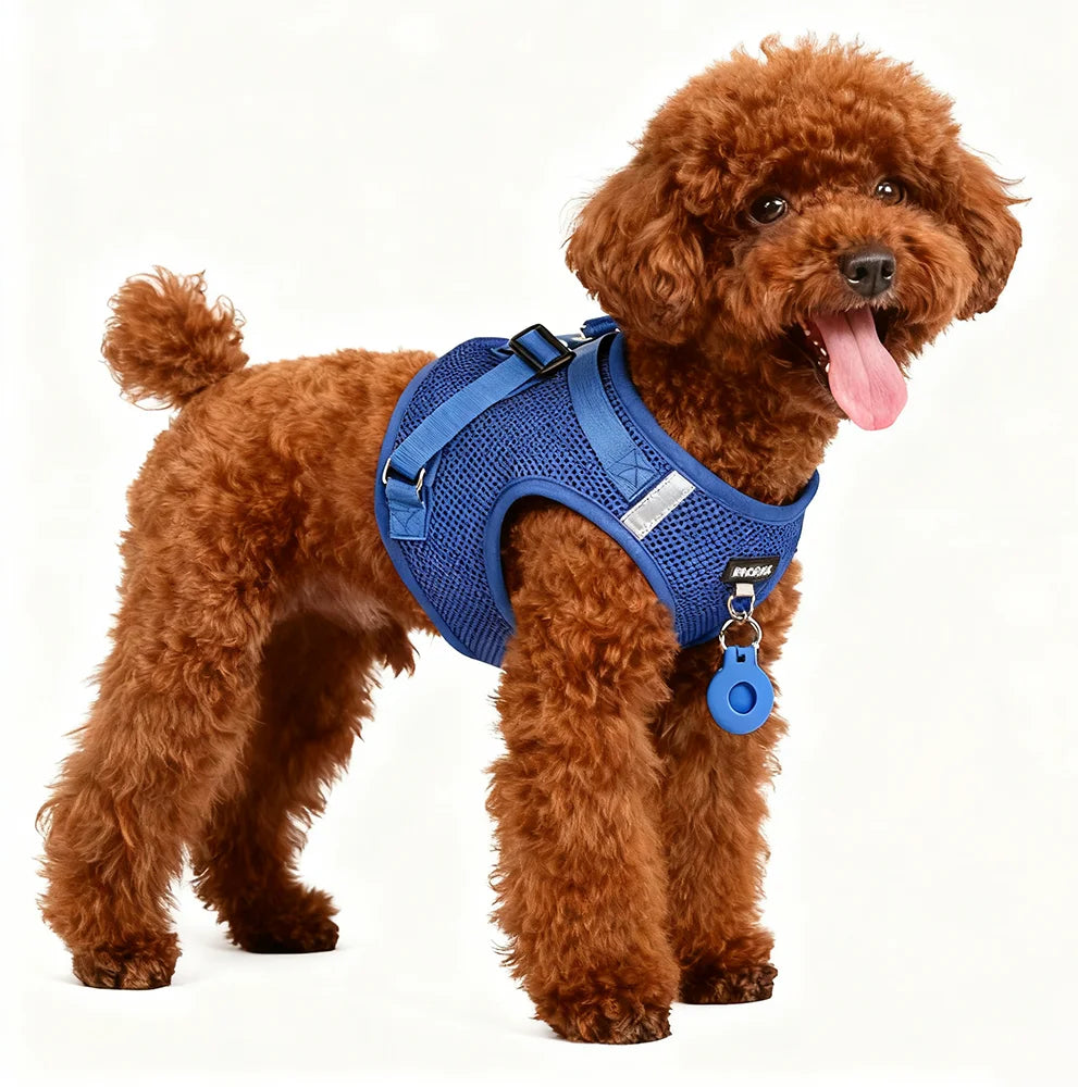 Dog Harness Vest, Soft Vest Harness Step-in No Choke No Pull Walking Training for Small and Medium Dog