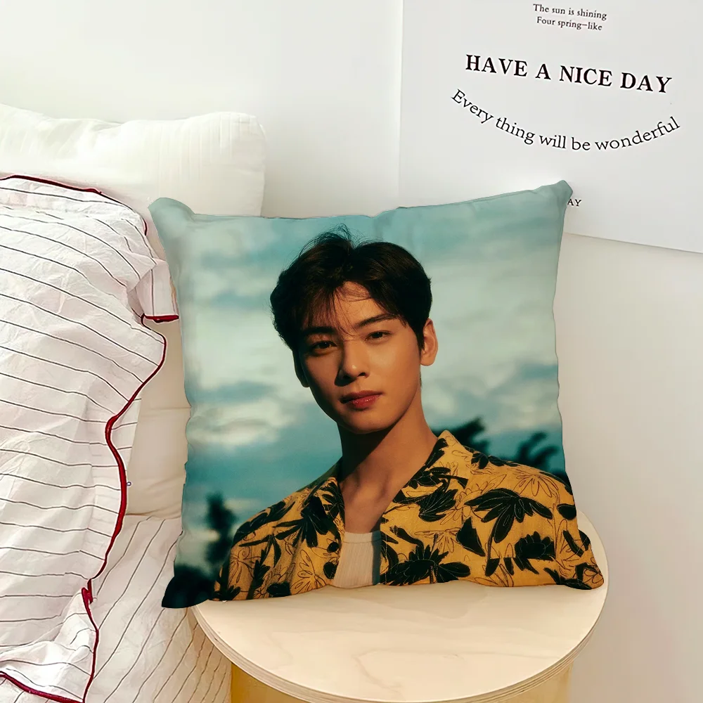 Korea Singer C-Cha Eun Woo Cushion Cover Sofa Living Room Bedroom Headboard Backrest Cushion Square Cushion Nap Time Pillow Case