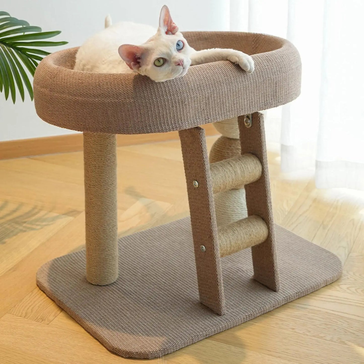Small Cat Tree Tower with Top Perch Scratching Post Furniture Protection Training Toy for Indoor Cats/kittens Climbing Frame