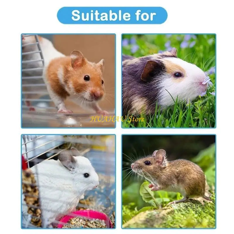 J6BB Small Pets Feeder Entertainment Puzzle Foraging Toy Treats Wooden Feeders Dispenser Funny Training Toy for Hamsters