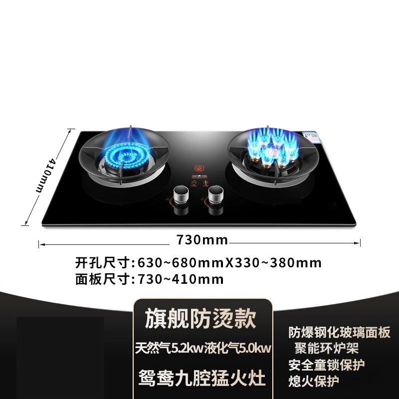 Gas stove, double burner, household LPG tabletop/natural gas stove, high-power built-in gas stove