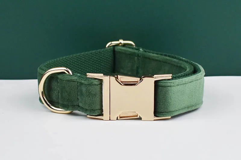 Forest Green Velvet Dog Collar And Leash Set For Dogs Custom Engraved Nameplate Pet Supplies Dog Leash Velvet 39