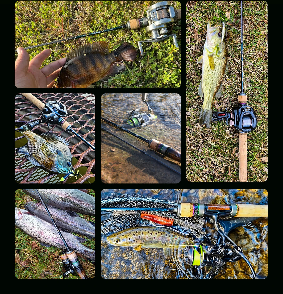 HANDING Magic L Micro BFS Fishing Rod Carbon Fishing Rod Lure Weight 1-8g FUJI® O+A Guide Rings UL/L Spinning Rod Casting Rod