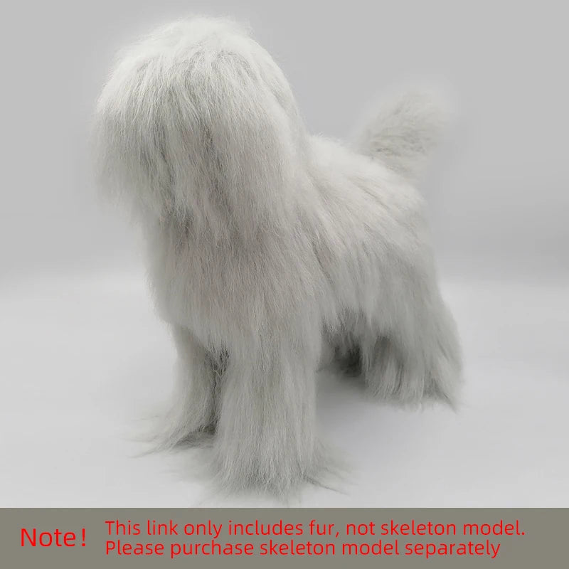 Pet Simulation Hair Beauty Practice Dog Standard Teddy Whole Body Fake Hair Only Pet Grooming Trimming Practice with Model Dog