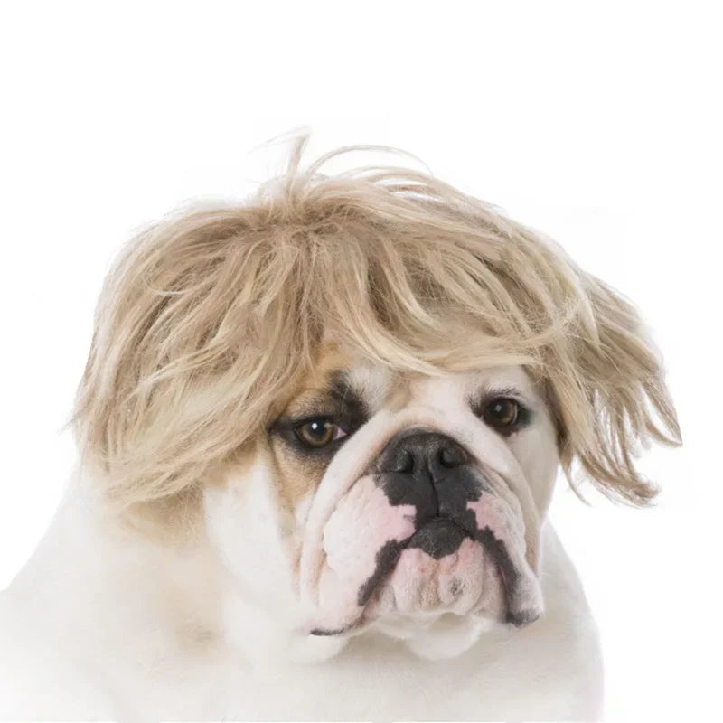 Funny Pet Cosplay Dog Wig Cat Grooming Supplies Fashion Headwear Halloween Curly Hair Straight Hair Cat Accessories Perros