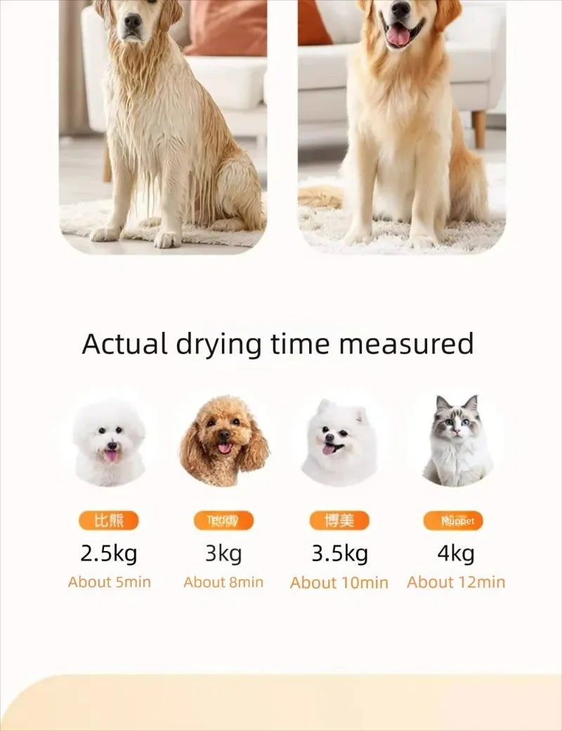 Small Dog Dryer Pet Heating Hair Puppy Dryer Cat Hair Blow and Comb 2in1 Hair Dryer for Small Middle Dogs Quick Drying