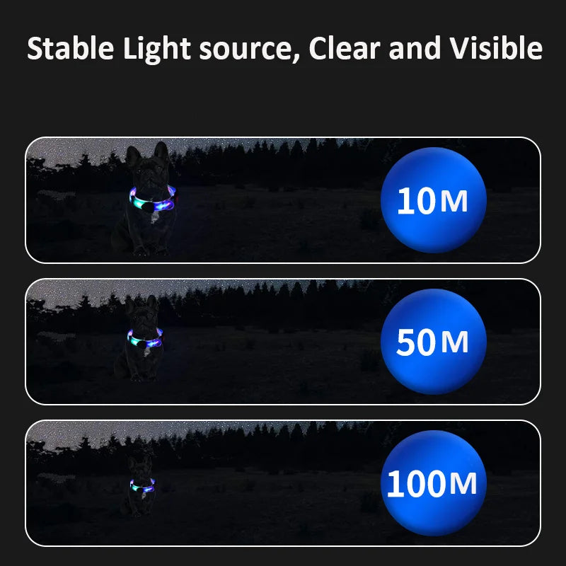 Pet Light-up Collar Leash LED Flashing Collar USB Charging Dog Walking Pulling Belt Adjustable Dog Collar Anti-Lost Pet Supplies