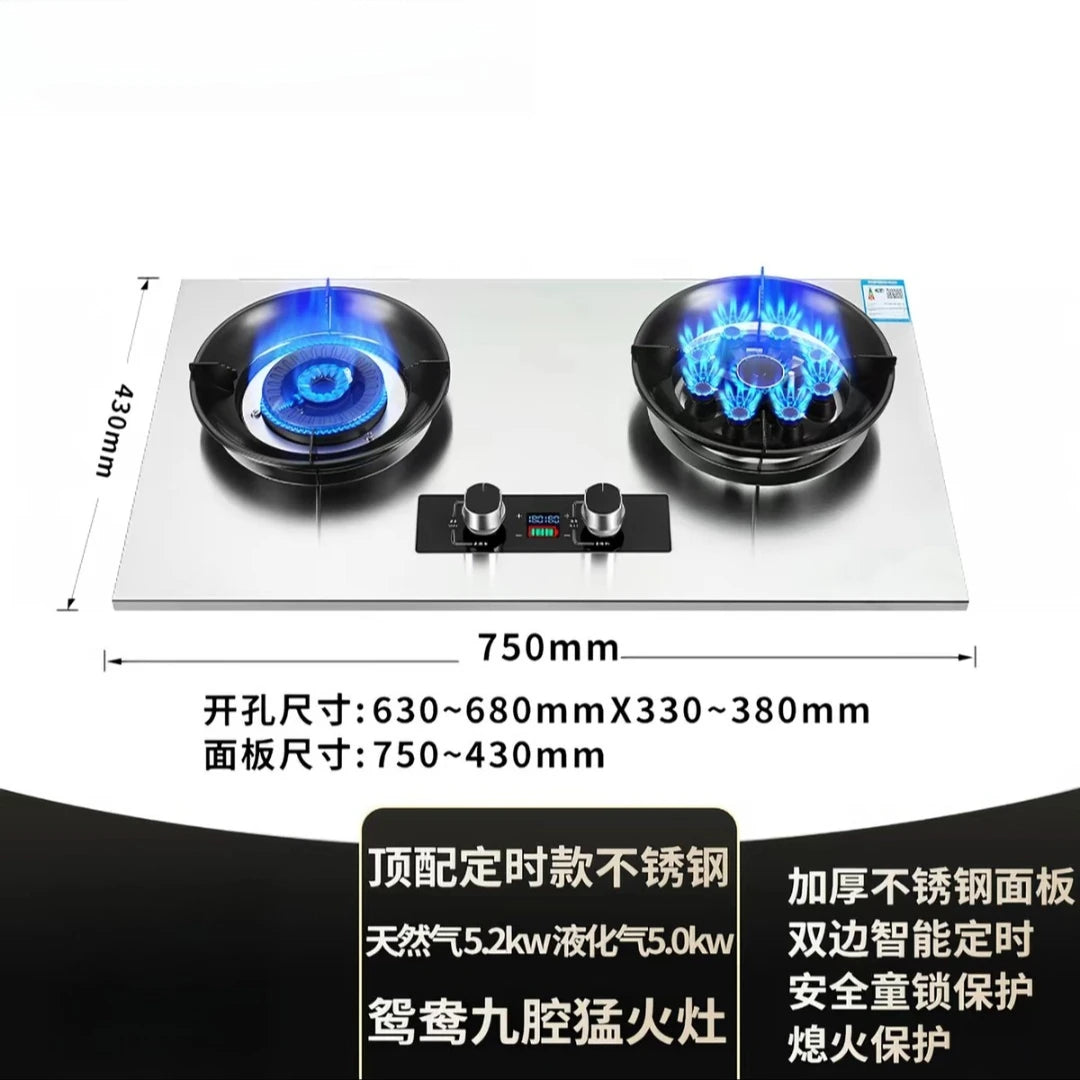 Gas stove, double burner, household LPG tabletop/natural gas stove, high-power built-in gas stove