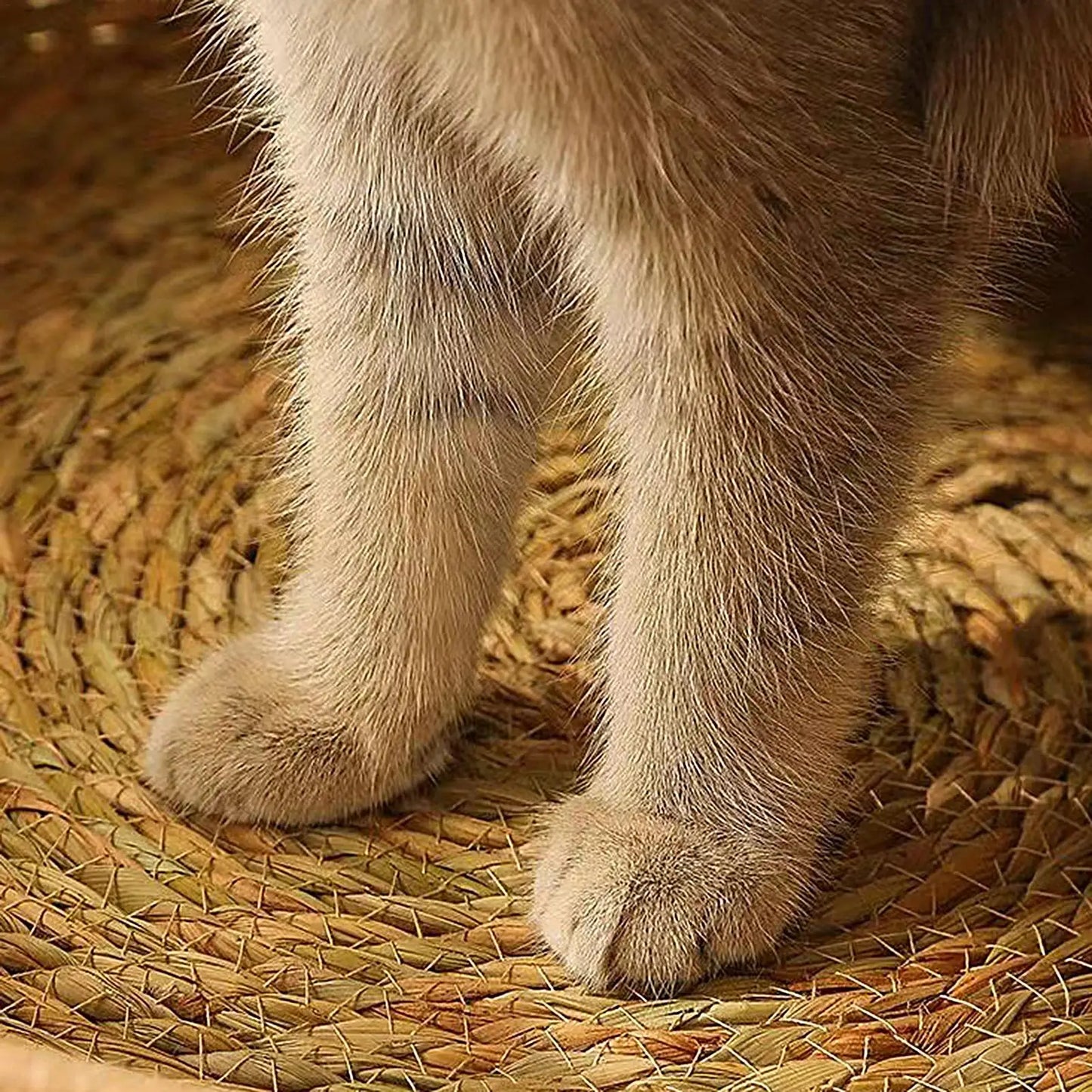 Cat Bed Hand-Woven Cotton Rope Cat Basket All Season Indoor Weaving Pet Resting Scratching Sleeping Furniture for All Breeds