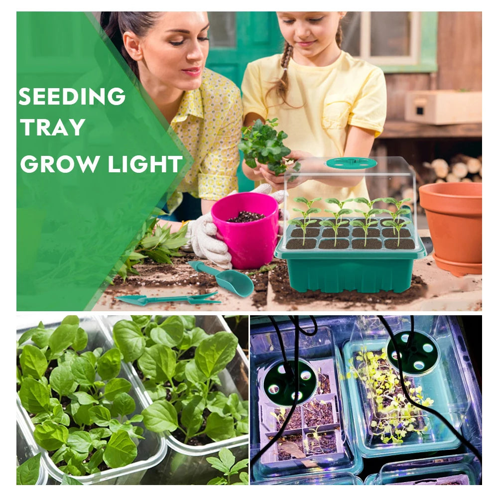 Plants Seed Starter Trays With Grow Light 12 Holes Per Tray Nursery Pots Lights For Home Plant Greenhouse Growing Trays