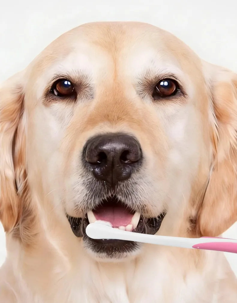 Pet Toothbrush Dog Toothbrushes Soft Dense Hair Toothbrush for Dog Teeth Cleaning Small Head Cat Toothbrushes Pet Mouth Cleaning
