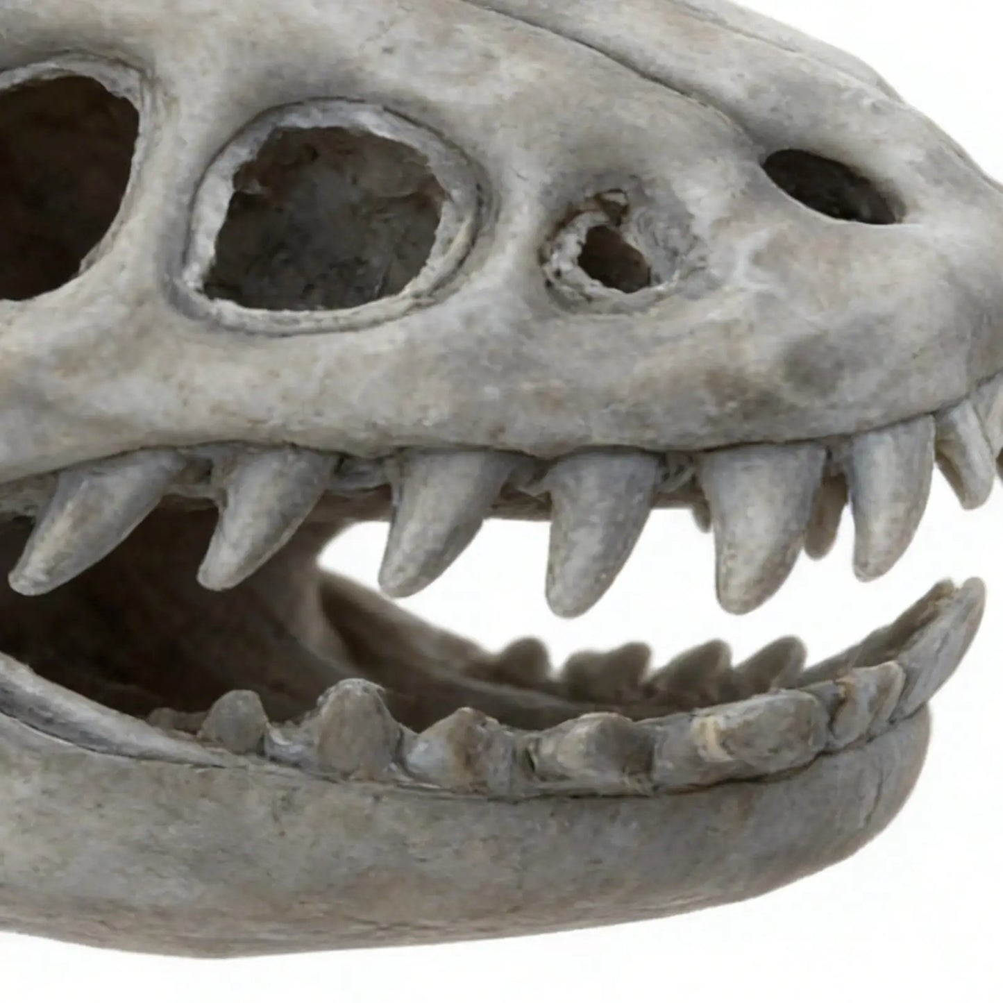Halloween Skeleton Outfits Dinosaur Skeleton Costume Plush Stuffed Toy For Kids Adults Stage Performance Themed Event Haunted