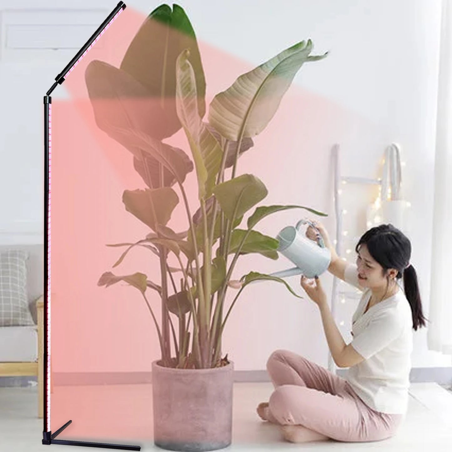 24V 80INCH Indoor Plant Growth Lamp Full Spectrum Seed Plant Lamp with Timer and Three Color Dimmable Floor Plant Growth Lamp