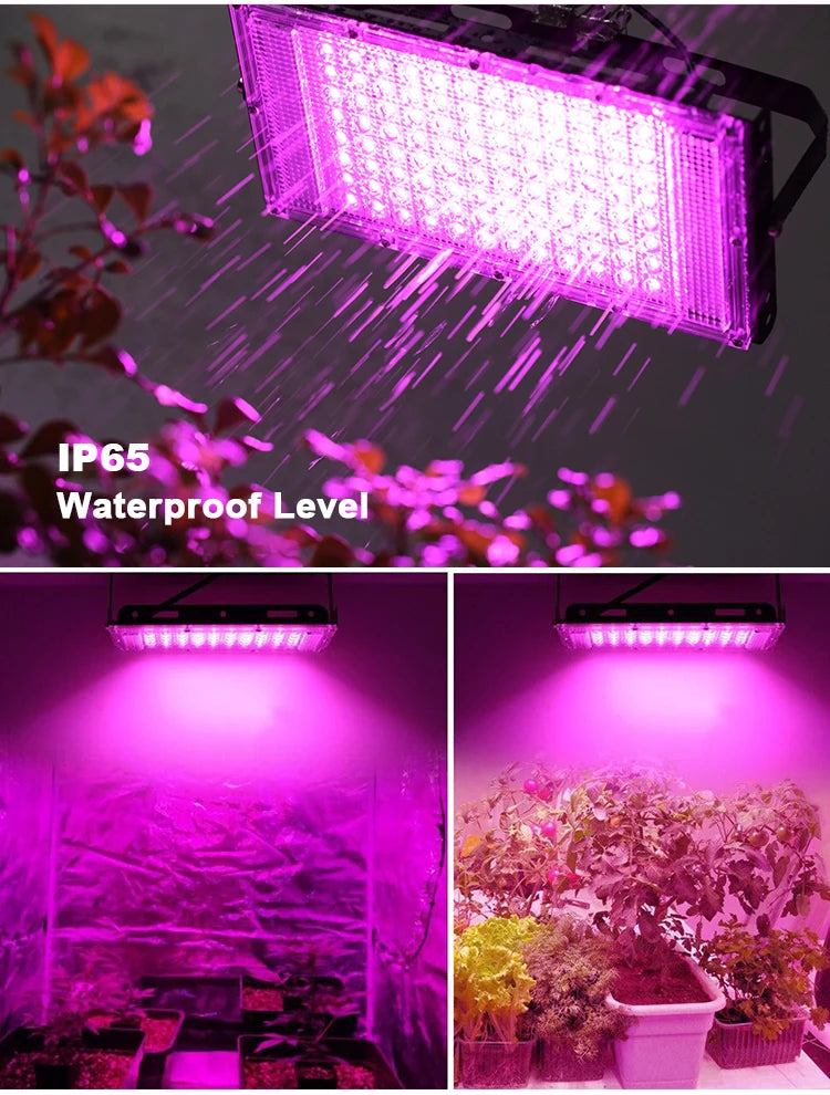 Led Grow light 50W 100W 150W 220V Outdoor Full Spectrum LED plant growth lamp Led Spotlight Projector Streetlight Led Floodlight