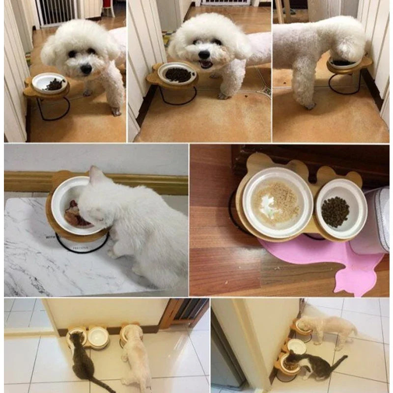 Ceramic Cat Bowl Cat Food Feeder Dog Bowls Drinking Water Bowl Cervical Protection Pet Supplies Ceramic Double Cat Bowls