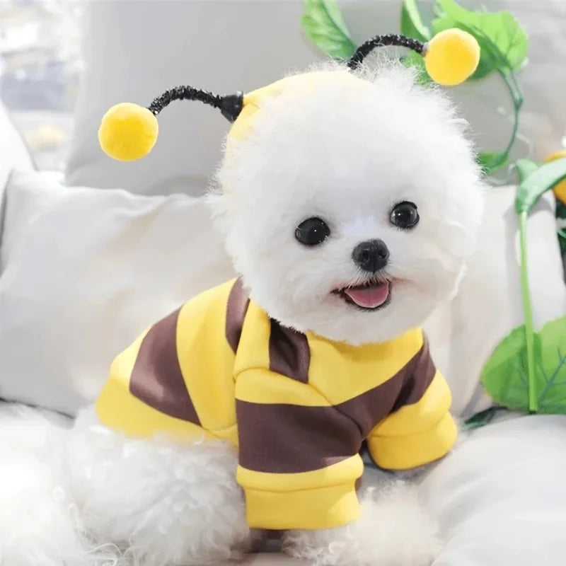 Bee Dog Clothes for Autumn and Winter Schnauzer Teddy Small Puppy Cat Pet Hoodie Bee Transformation Suit Dog Cat Cosplay Costume