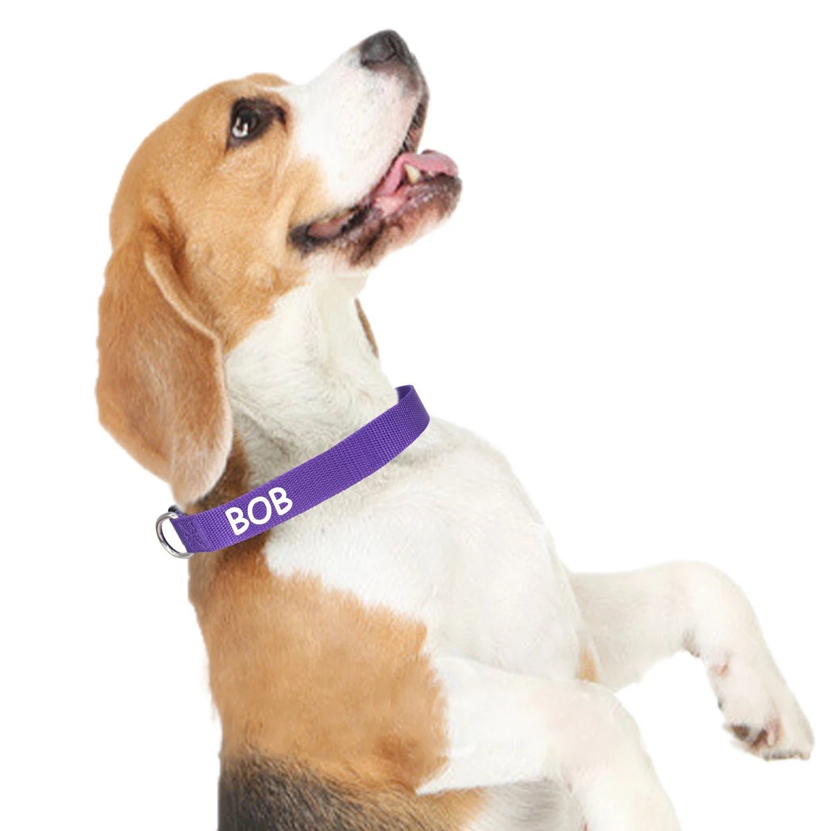 Personalized Customized Nameplate Dog Collar Soft Dogs Collars Free Customized ID Name for Small Medium Dogs Adjustable Colorful