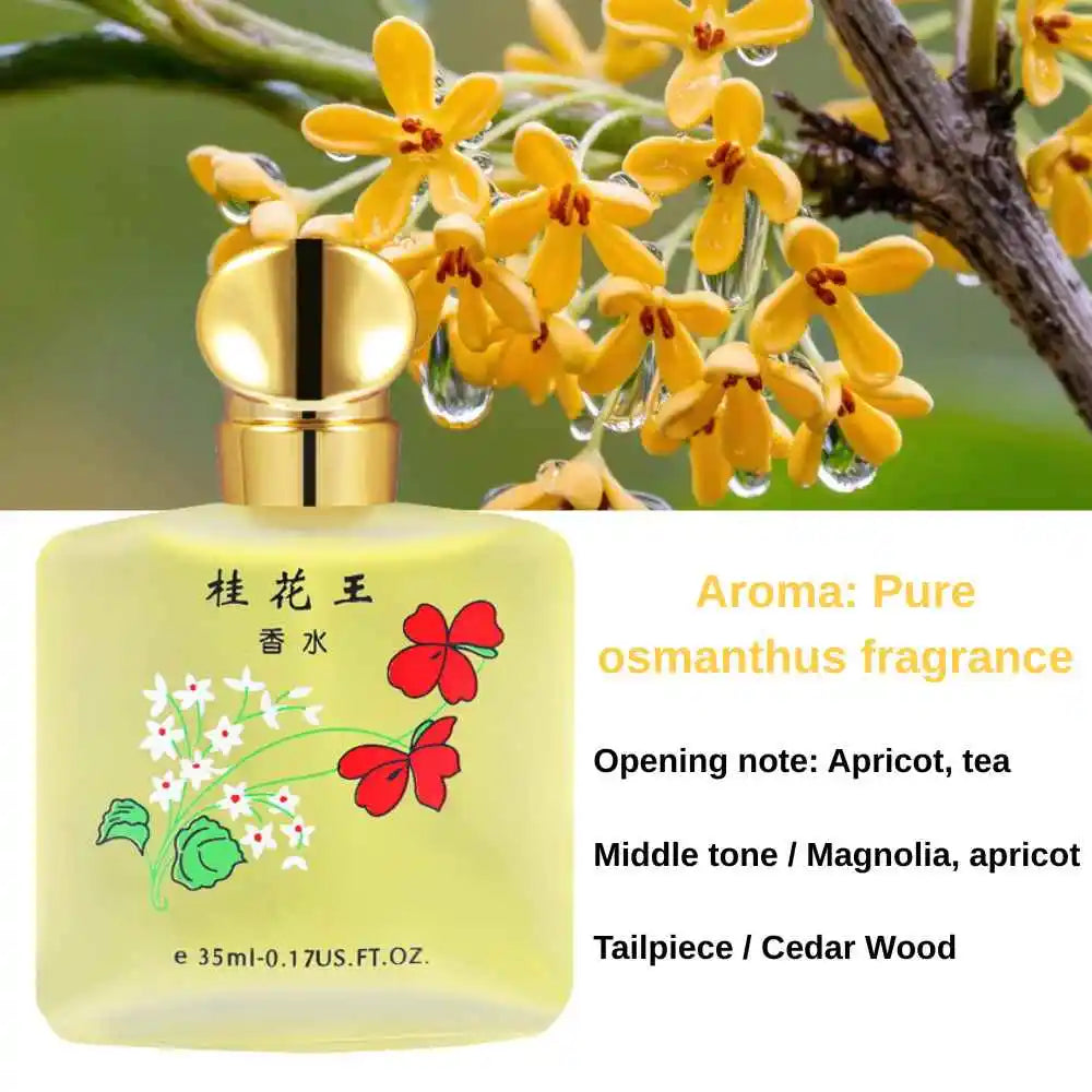 Osmanthus Perfume for Men Women Unisex Long Lasting Fresh Delicate Floral Scent with Rose Jasmine Student Fragrance 35ml Parfum