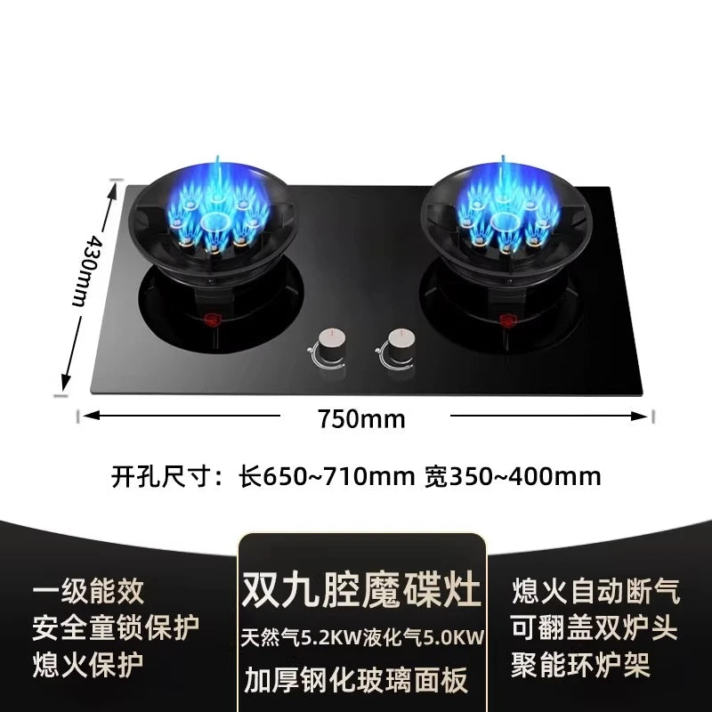Gas stove, double burner, household LPG tabletop/natural gas stove, high-power built-in gas stove