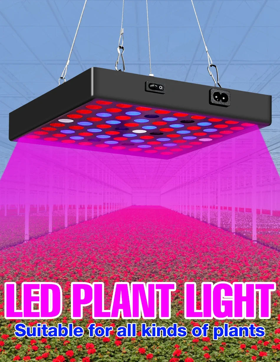 100W 50W LED Grow Light Full Spectrum Plant Hydroponics Cultivation Lamp IR UR For Indoor Flower Cactus Succulent Fill Lighting