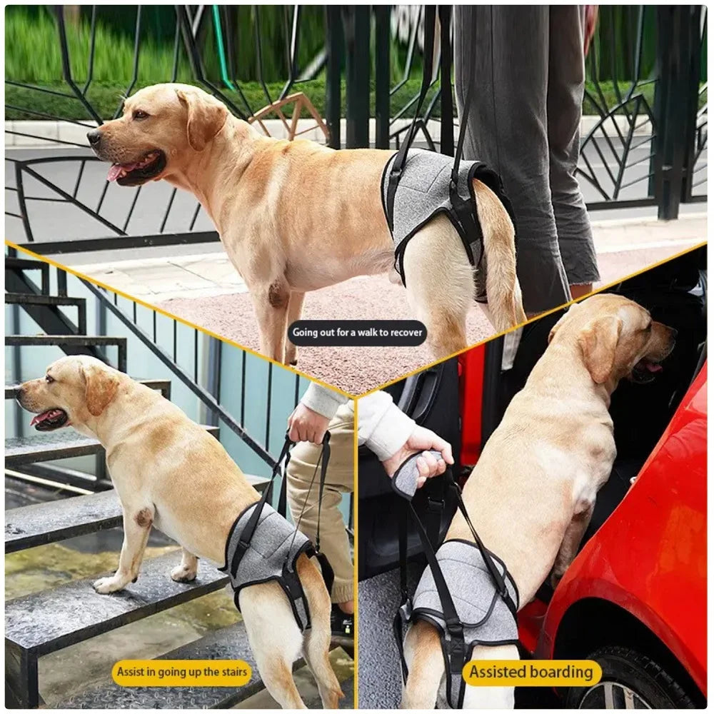 New Injured Dog Hind Leg Harness Elderly Dog Traction Bracket Sling Adjustable Portable Durable Pet Supplies