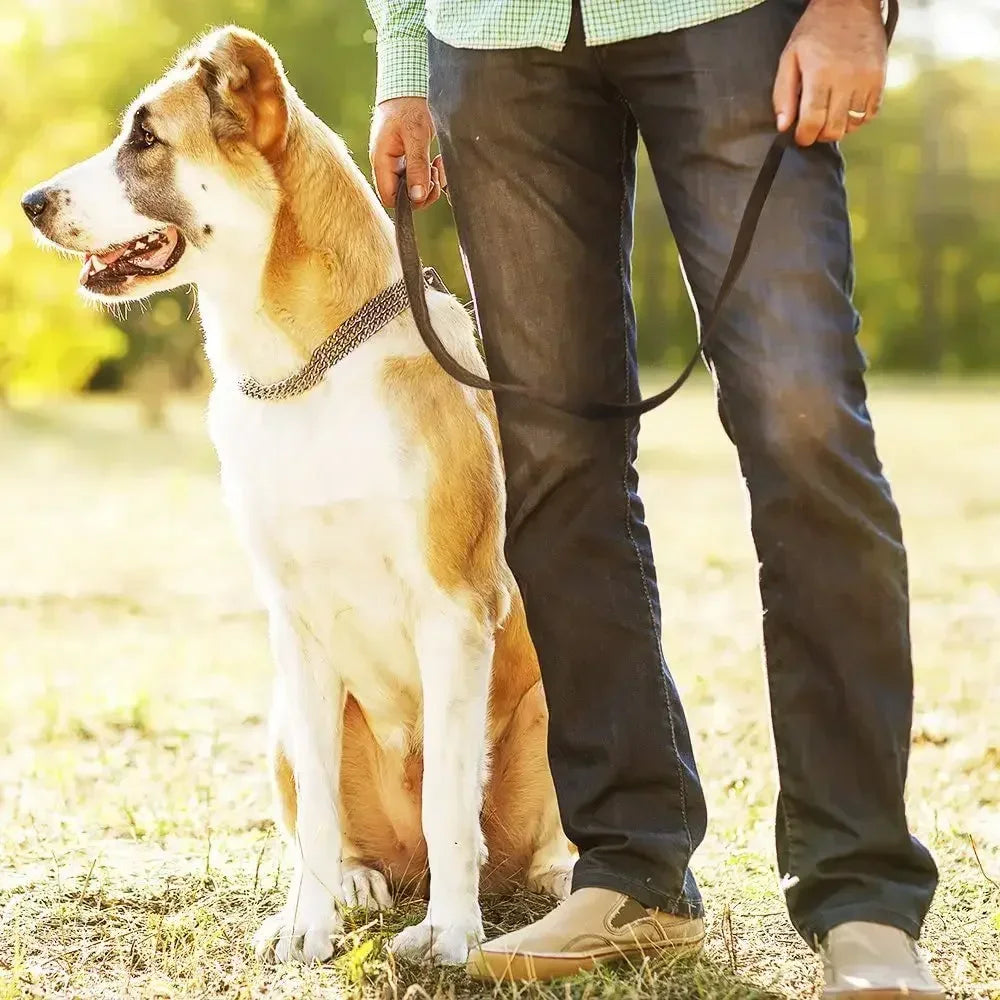 Handmade Genuine Leather Braided Dog Leash Heavy-Duty Training Lead with Metal Hook for Medium/Large Pets Dog Collar