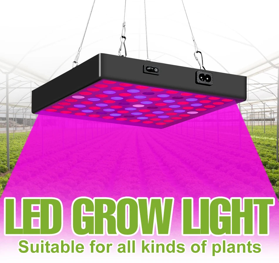 100W 50W LED Full Spectrum Indoor Grow Light Quantum Plate Plant Lamp Greenhouse Flower Succulents Potted Cultivation US/EU Plug