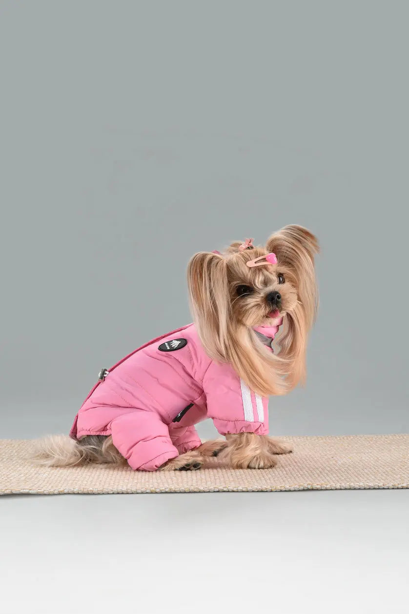 Dog Thick Warm Cotton Clothing Pet Outdoor Winter Small Medium Dog Padding Down Parkas Overalls Warm Puppy High Neck Jacket