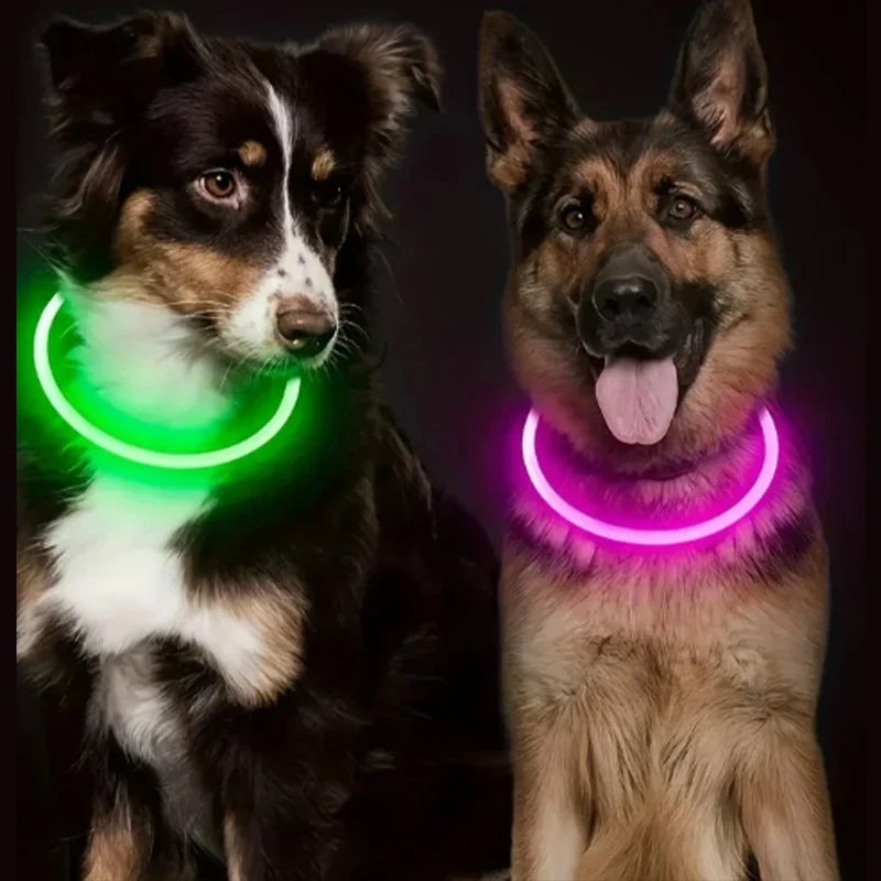 Led Luminous Dog Collar Rechargeable Cat Collar 3 Modes Anti-lost Night Collar Pet Supplies Suitable For Large Medium Small Dogs