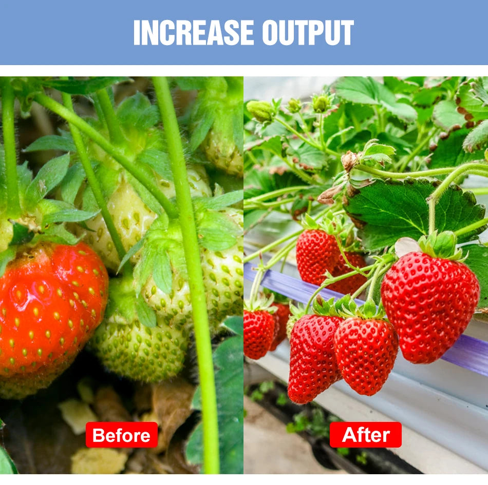 LED Quantum Board Plant Grow Light  Full Spectrum Indoor Flower Seedling Hydroponic Greenhouse Vegetable Cultivation Growth Lamp