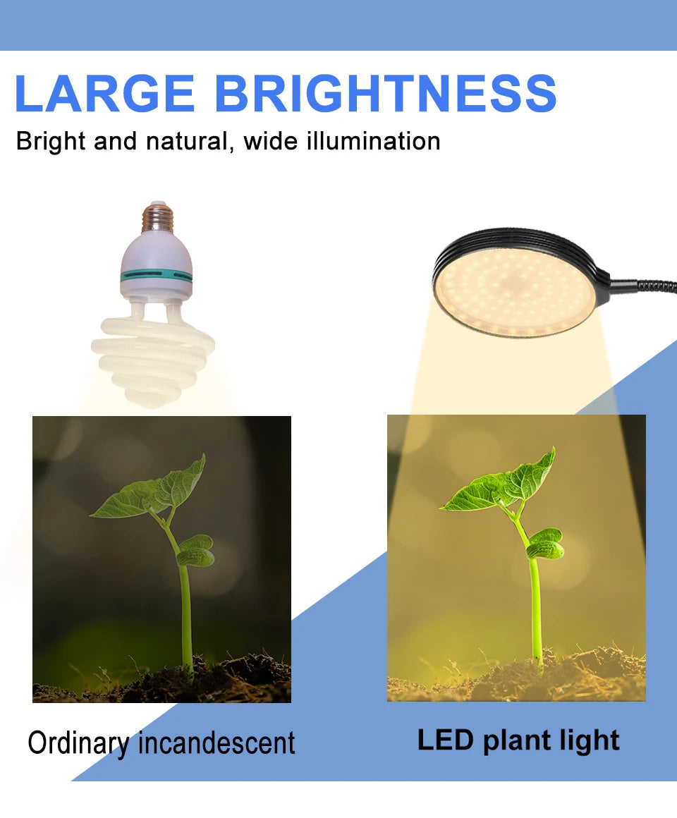 Full Spectrum LED Grow Light USB Plant Fill Lamp 5V Dimmable Timing Auto On/Off Indoor  Seeds Hydroponics Vegs Cultivation Lamps