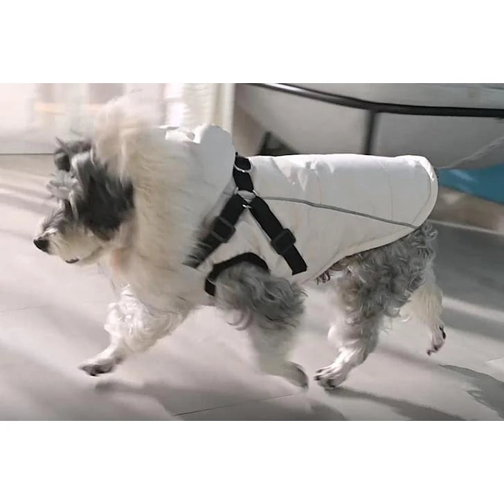 Dog Coat Winter Dog Jacket Dog Vest Clothing Dog Harness Coat Small Dog Harness Puppy Vest Harness Winter Dog Coat with Harness