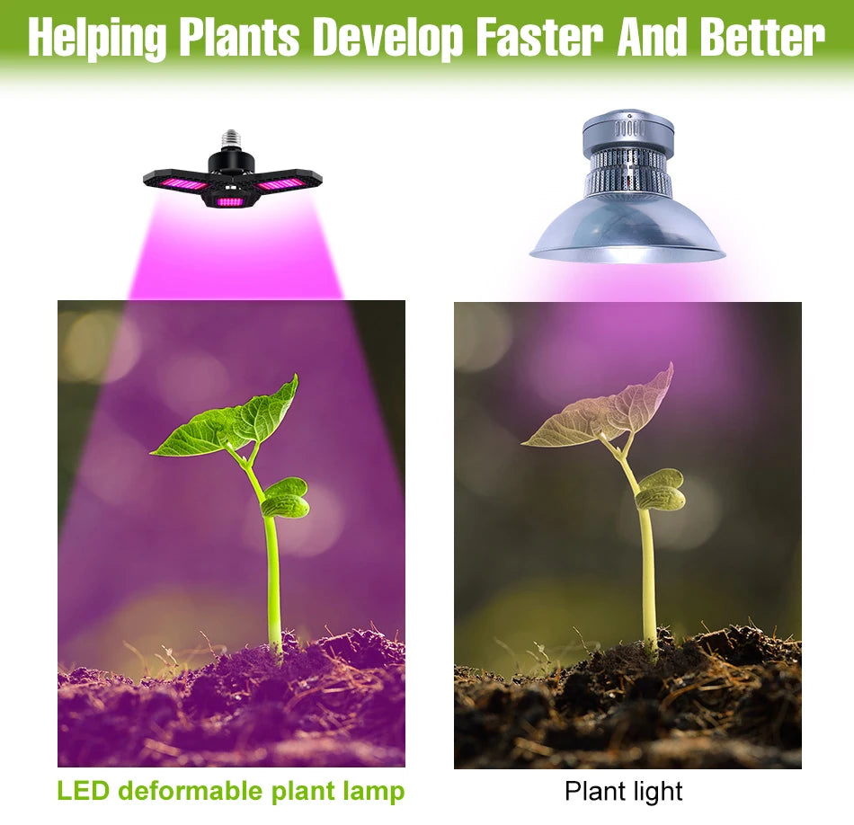 250W E27/E26 LED Growing Lamp Full Spectrum Foldable Plant Fill Lighting Vegetable Fruit Hydroponics Cultivation 100W/150W/200W