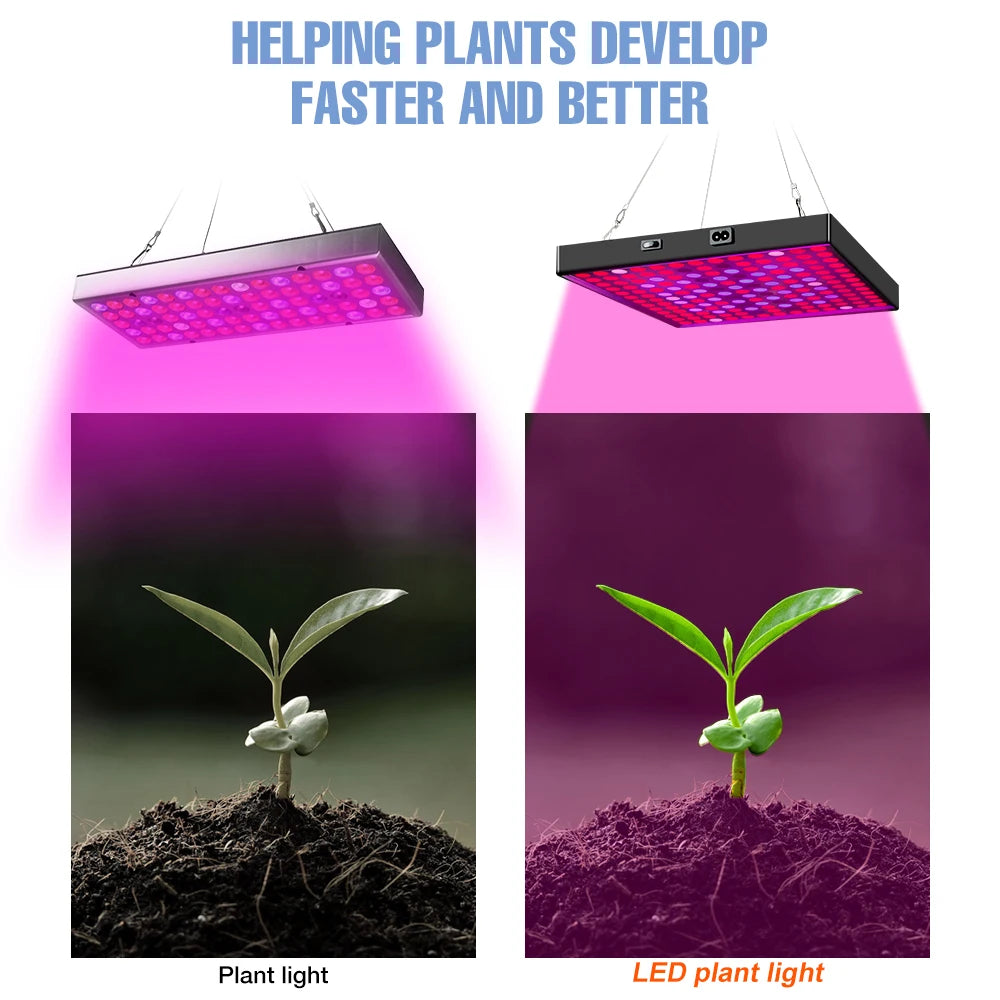 200W LED Plant Grow Light Full Spectrum Indoor Hydroponics Fill Lamp AC100-277V Greenhouse Vegetable Fruits Cultivation Lighting