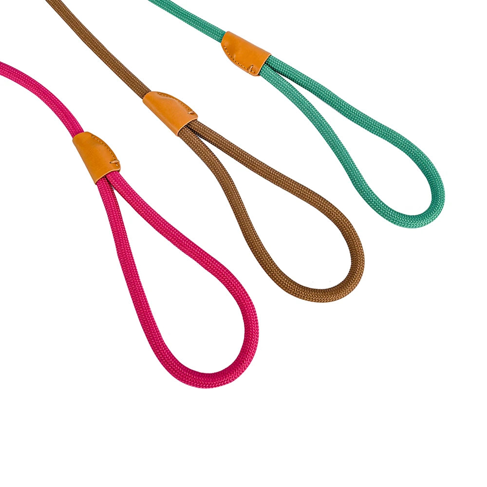 Convenient Durable Nylon Slip Rope Best Dog Leash Collar Adjustable Slide Fastener Loop Medium to Large Scale Leash for Dog Pet