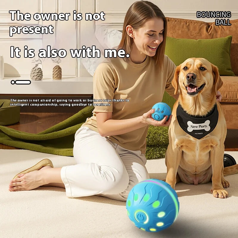 Pet Play Toy Ball, Electric Dog Ball, USB Rechargeable Dog Interactive Toy, Good Companion for Dogs