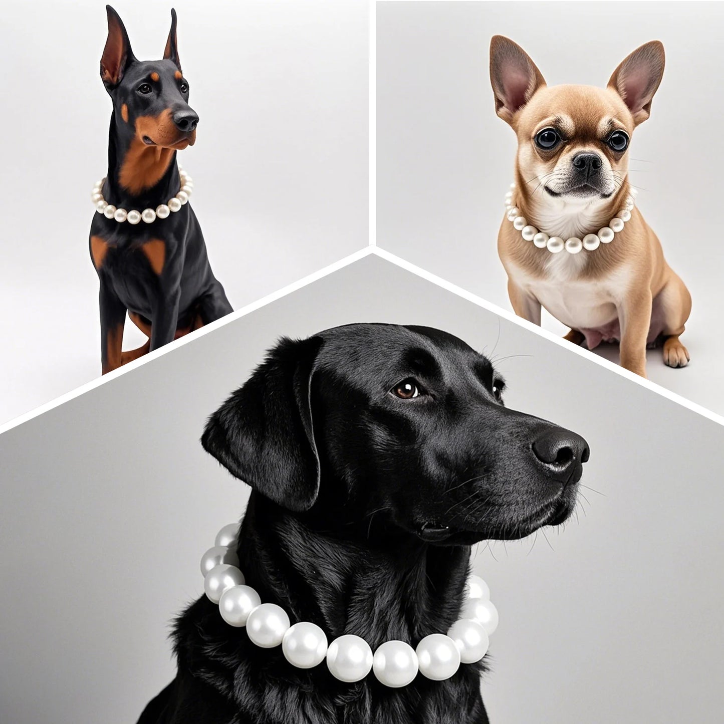 Pearl Dog Collar, Stainless Steel Wire Rope,Pearl Necklace Jewellery Accessories for Medium Large Dogs Occasions and Gatherings