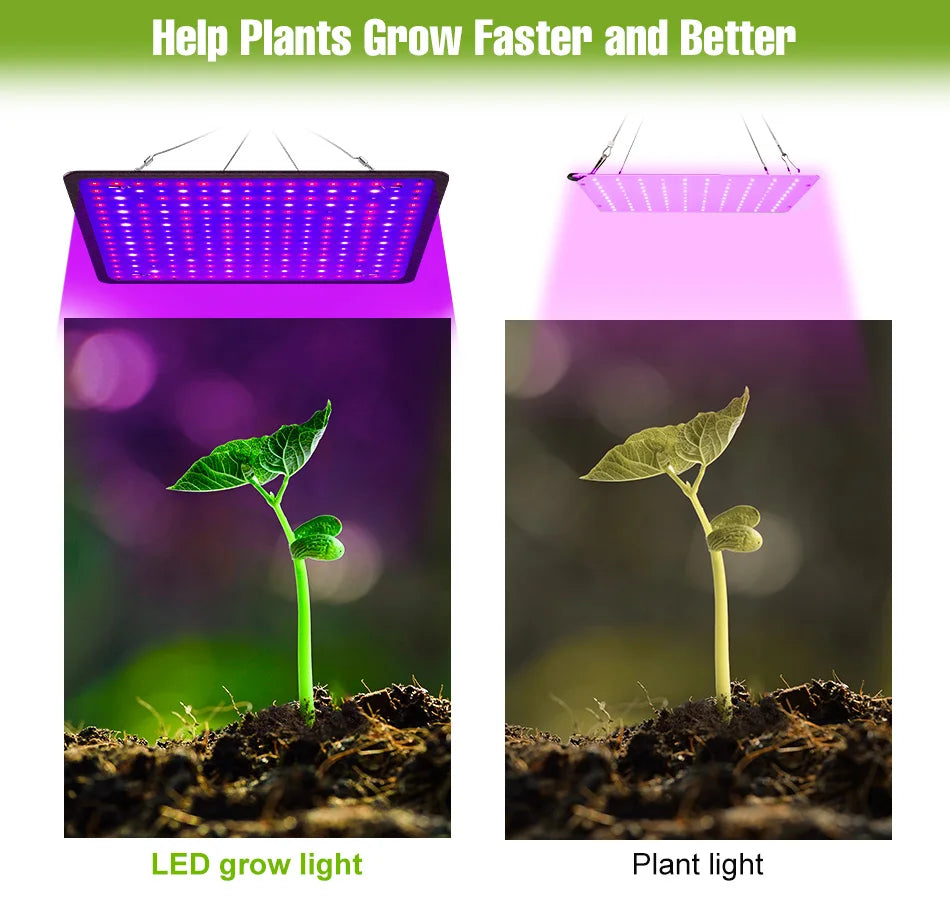200W LED Grow Light Full Spectrum Quantum Board Plant Cultivation Lamp For Indoor Potted Flower Greenhouse Tent Tomato Vegetable