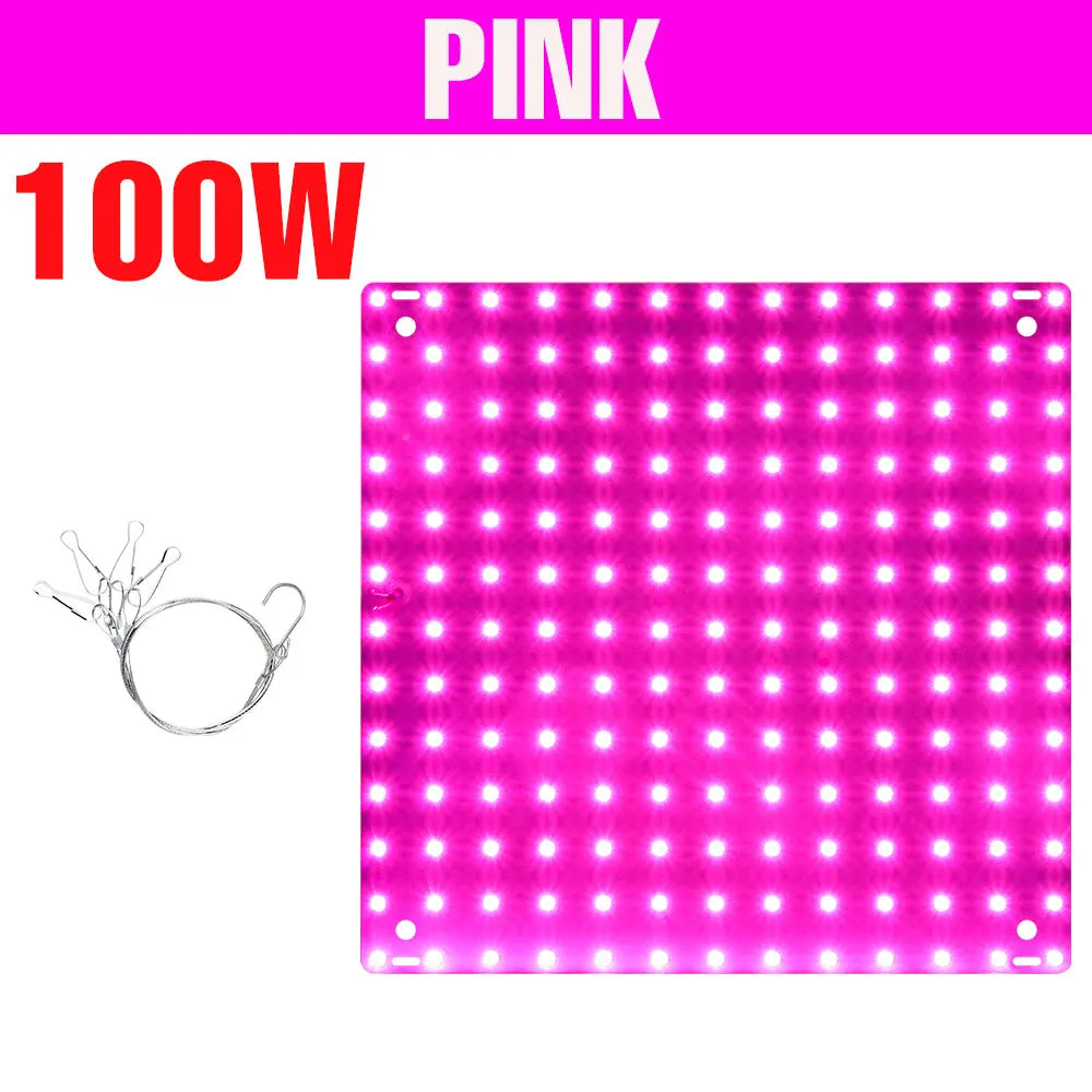 200W LED Grow Light Full Spectrum Quantum Board Plant Cultivation Lamp For Indoor Potted Flower Greenhouse Tent Tomato Vegetable