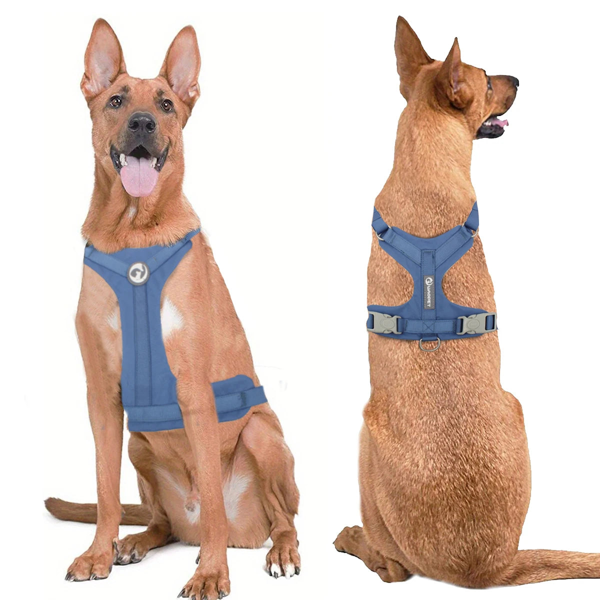 Macaron Series Dog Harness Vest No Pull Nylon Adjustable Safety Dog Harness For Small Medium Large Dog Collar New Free Shipping