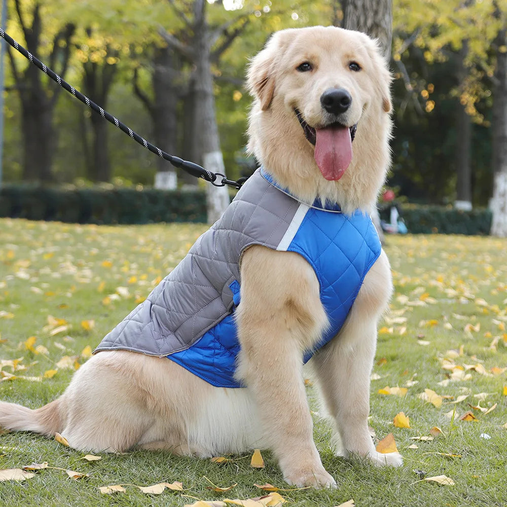 New Winter Pet Dog Clothes Thickened Fighting Dog Clothes Reflective Dog Cotton Clothes Pet Clothes