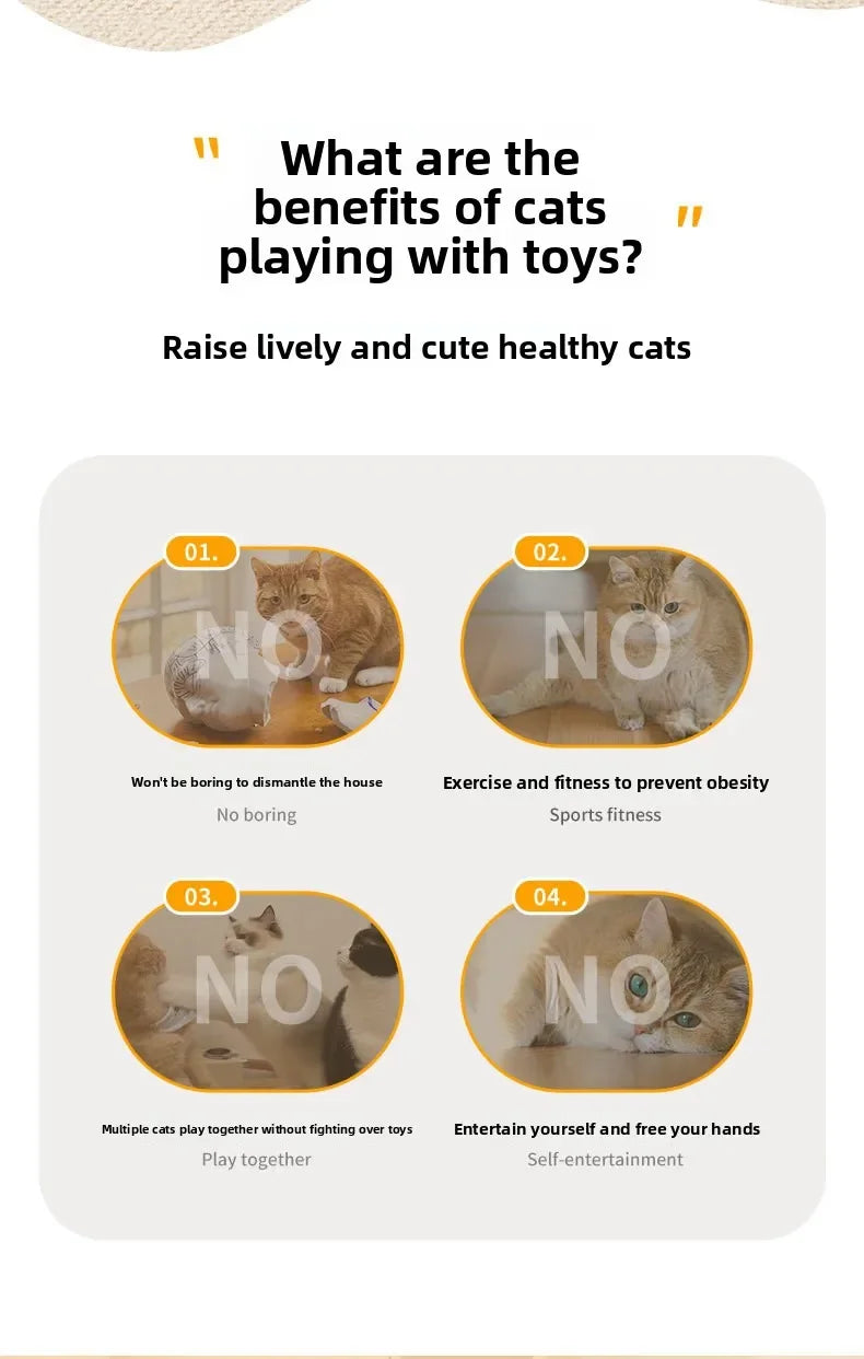 Cat and Dog Toy Interactive Hide and Seek Cat Toy with Mouse Squeak Motion Activated Mobile Hidden Feather Kitten Teasing Toy
