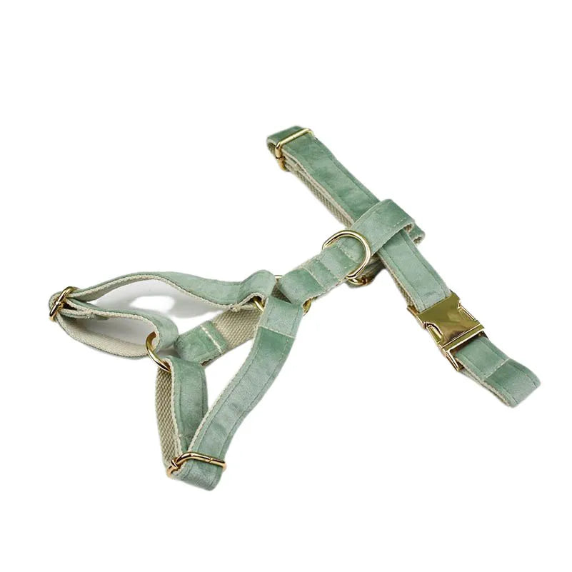 Mint Green Velvet Dog Collar And Leash Set For Dogs Custom Engraved Nameplate Pet Supplies Dog Leash Velvet 17