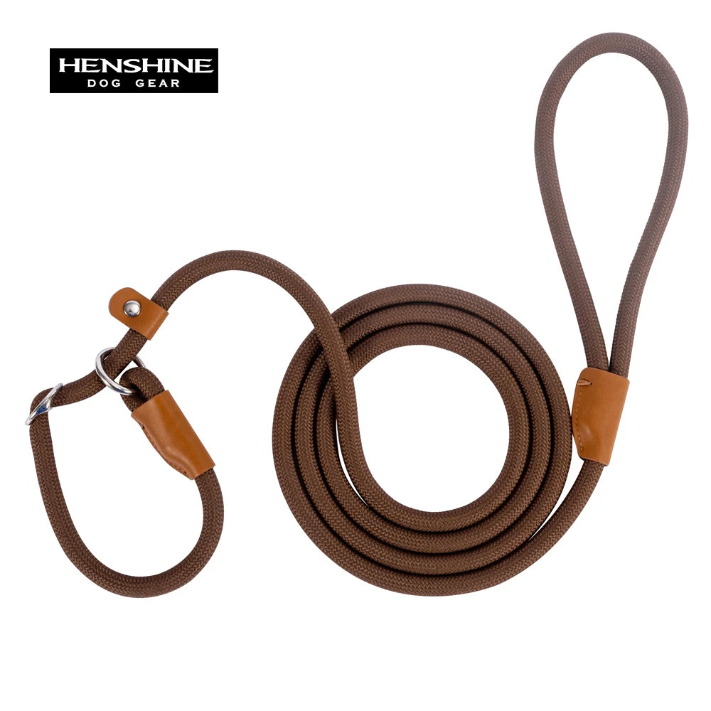 Convenient Durable Nylon Slip Rope Best Dog Leash Collar Adjustable Slide Fastener Loop Medium to Large Scale Leash for Dog Pet