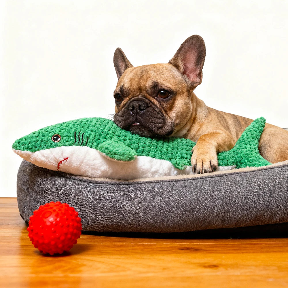 Pet Chew-Resistant Plush Interactive Toy with Sound, Parrot-Shaped, Suitable for Large, Medium, and Small Pets Like Cats and Dogs, Double-Layer Fabric, Built-In Airbag