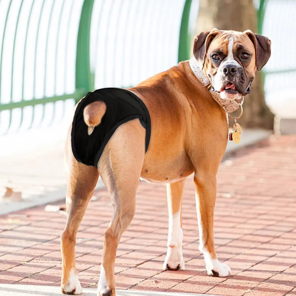 Female Pet Dog Sanitary Pants with 3 Diapers Dog Physiological Pants Menstrual Period Underwear Briefs Easy To Wear