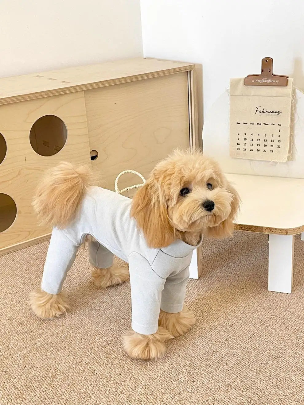 Elastic Pet Jumpsuit Four Legged Pants For Small Medium Dogs Cream Color Cozy Home Base Shirt Winter Warm Dog Clothes