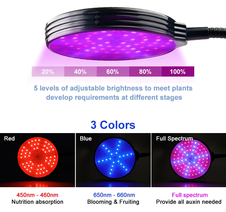 LED Grow Light Full Spectrum Dimmable With Timing Auto On/Off USB 5V Waterproof Plant Hydroponics Cultivation Lamp 1/2/3/4 Heads